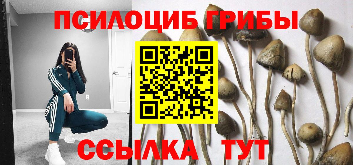 Пушкино  Галлюциногенные грибы мицелий  Вход с VPN 